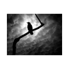 undefined Altrockisdead.com