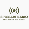 undefined Spessart Radio