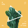 undefined radio 17bis