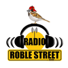 undefined Radio Roble Street