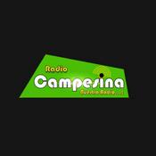 Radio Radio Campesina