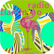 Radio Radio Flamingo 80