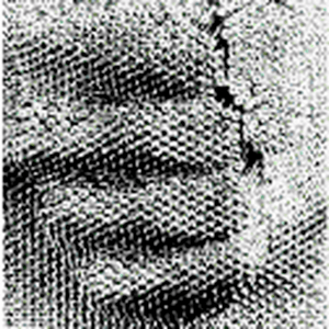 greyarea