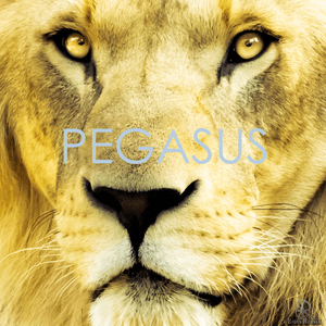 Pegasus