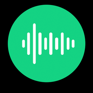 RADIO RFM NL