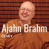 undefined Ajahn Brahm česky