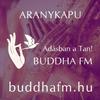 undefined Aranykapu