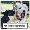 undefined Auf den Hund gekommen!