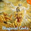 undefined Bhagavad Gita (Hindi)