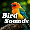 undefined Bird Sounds
