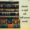 undefined Chassidus In-Depth with Rabbi Benzion Twerski