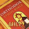 undefined Daily Orthodox Study Bible Reading