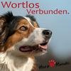 undefined Deine Gassi-Runde als Heldenreise > mit Deinem Hund wortlos verbunden!