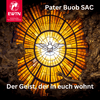 undefined Der Geist, der in euch wohnt | Pater Buob