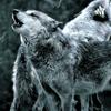 undefined Die Wolfshöhle-Der Podcast über alles