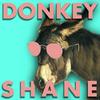 undefined Donkey Shane
