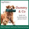 undefined Dummy & Co - der Hundepodcast für artgerechte Beschäftigung
