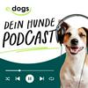 undefined edogs - Dein Hunde Podcast