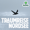 undefined Eingetaucht in die Vielfalt der Nordsee