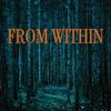 undefined From Within: A Tale of the Macabre