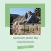 undefined Gelassen durch die Kleinkindzeit