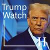 undefined Handelsblatt Trump-Watch - Der Analyse-Podcast zur zweiten Amtszeit des US-Präsidenten
