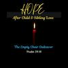 undefined Hope After Child & Sibling Loss/the empty chair endeavor