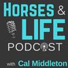 undefined Horses and Life