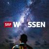 undefined SRF Wissen