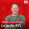 undefined Le jardin RTL