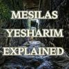 undefined Mesilas Yesharim Explained with Rabbi Dovid Schoonmaker