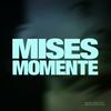 undefined Mises Momente