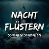 undefined Nachtflüstern - Geschichten zum Einschlafen
