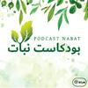undefined نبات | Nabat