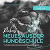 undefined Neues aus der Hundeschule