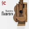 undefined Nuestro flamenco
