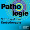 undefined Pathologie - Schlüssel zur Krebstherapie