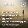 undefined Рав Хаим Суницкий  — О свойствах человеческой души и о переселении душ
