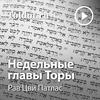 undefined Рав Цви Патлас  — Недельные главы Торы