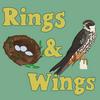 undefined Rings &amp; Wings