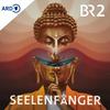 undefined Seelenfänger