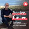 undefined Seelenfunken - Dein Weg zu Authentizität, Resilienz und bewusstem Sein
