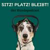 undefined Sitz! Platz! Bleibt! - der Hundepodcast mit Nicole Borowy und Sami El Ayachi