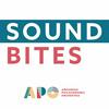 undefined Sound Bites From the Arkansas Philharmonic Orchestra