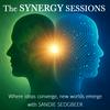 undefined The Synergy Sessions with Sandie Sedgbeer