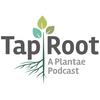 undefined The Taproot