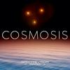 undefined Cosmosis [Formerly The UFO Rabbit Hole]