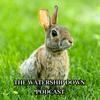 undefined The Watership Down Podcast