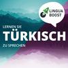 undefined Türkisch lernen mit LinguaBoost