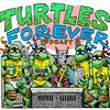 undefined Turtles Forever